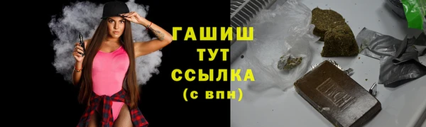 амф Ельня