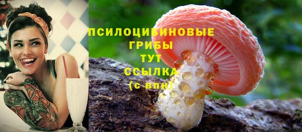 ALPHA-PVP Заволжск