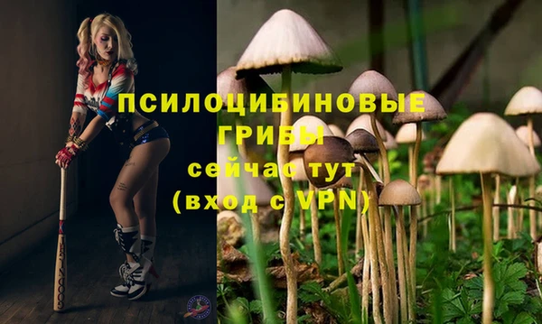 кристаллы Заводоуковск