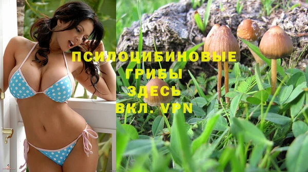 ALPHA-PVP Заволжск