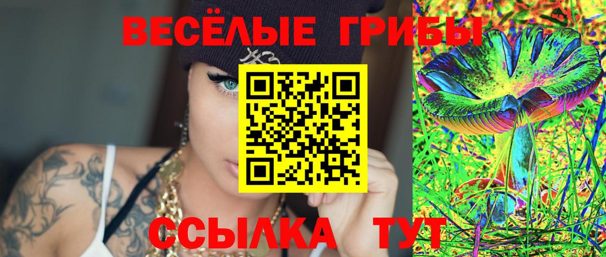 Ивантеевка  хочу наркоту  Вход с VPN  Псилоцибиновые грибы GOLDEN TEACHER  Галлюциногенные грибы Psilocybe 