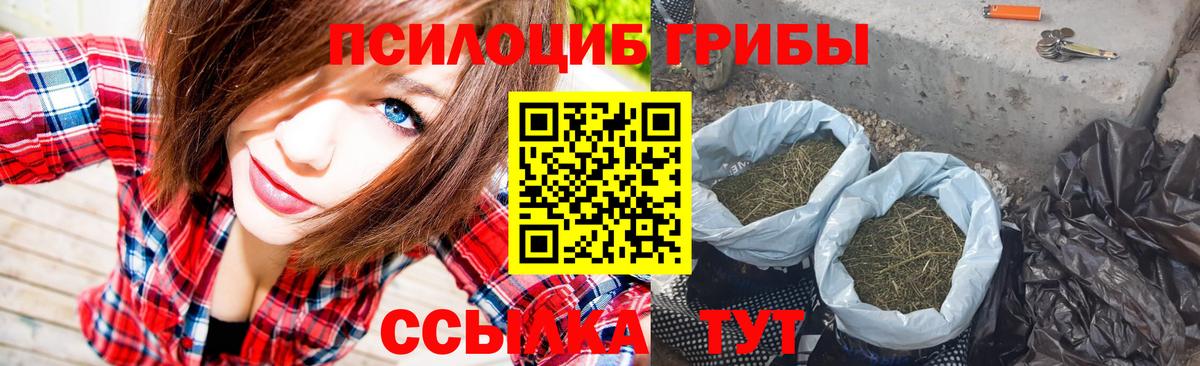 Псилоцибиновые грибы Magic Shrooms Ивантеевка
